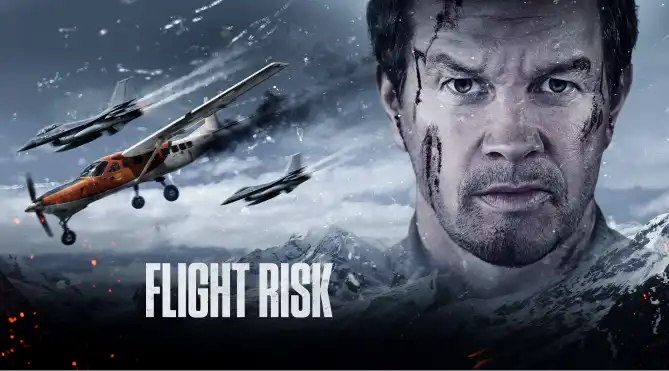 Poster for the movie Flight risk