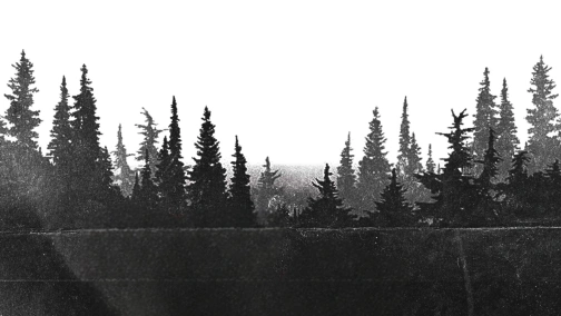 Раз, два, три - живим не вийдеш ти