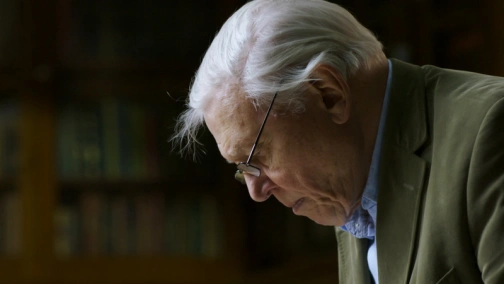 BBC: Большие птицы