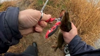 Новий приклад на АК щучки будуть прострелені