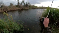 ЩУКА НА яскраву ВЕРТУШКУ в Херсоні