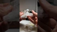 Нові пряжки для ременів