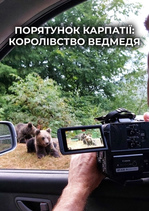Порятунок Карпатії: Королівство Ведмедя
