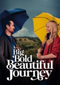 A Big Bold Beautiful Journey