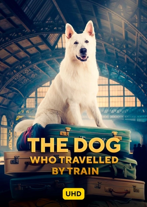 The Dog Who Travelled by Train UHD
