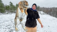 Огромный Кролик Приготовленный по Особому Рецепту для Изысканного Ужина!
