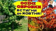 ВИКОРІНЮЮЧА ОБРОБКА САДУ ВОСЕНИ - Вересень та Жовтень
