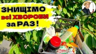БЮДЖЕТНА Осіння ОБРОБКА саду від хвороб та шкідників - 5 народних рецептів