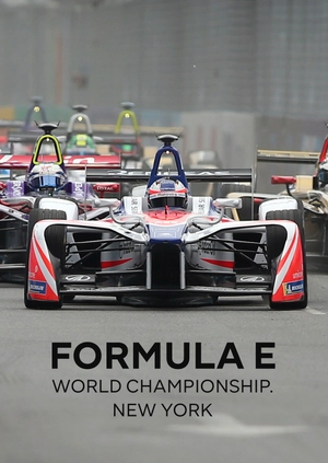 Formula E World Championship. New York