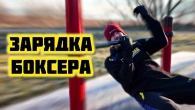 Лучшая зарядка боксера на 20 минут