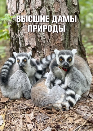 Высшие дамы природы