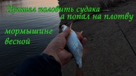 Плотва на мормышинг