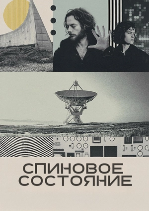 Спиновое состояние