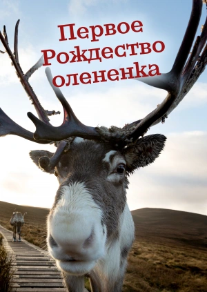 Первое Рождество олененка