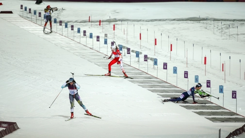 Biathlon. World Championships. Arber
