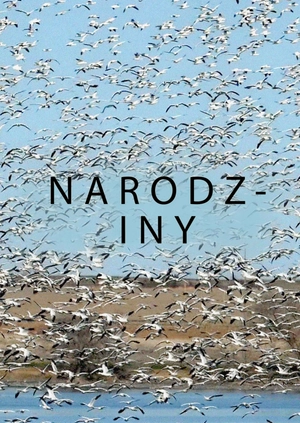Narodziny ptaków