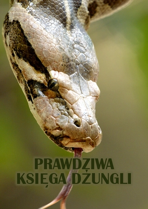 Prawdziwa Księga Dżungli