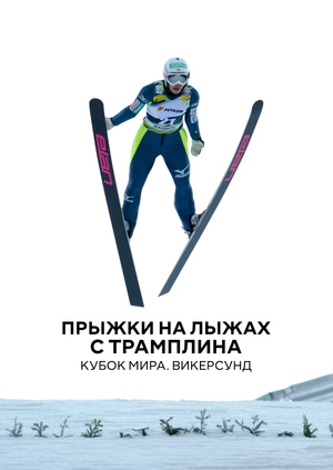 Прыжки на лыжах с трамплина. Кубок мира. Викерсунд