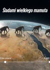 Śladami wielkiego mamuta — plakat