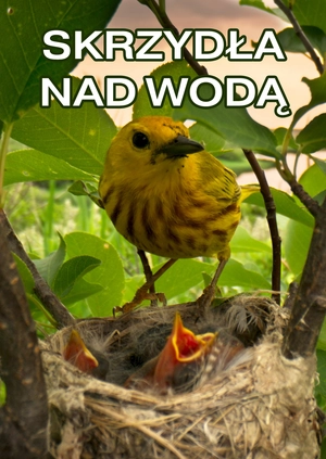Skrzydła nad wodą