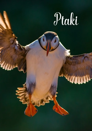 Ptaki