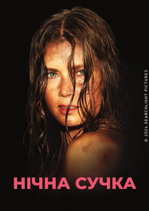 Нічна сучка