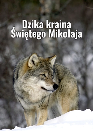 Dzika kraina Świętego Mikołaja