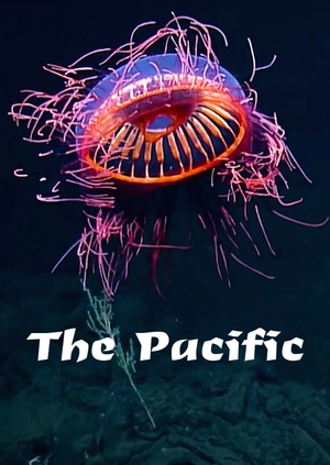 The Pacific