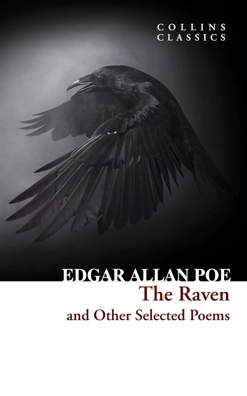 Обкладинка "The Raven and Other Selected Poems"