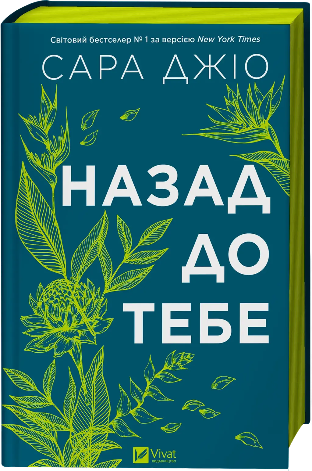 Обкладинка "Назад до тебе"