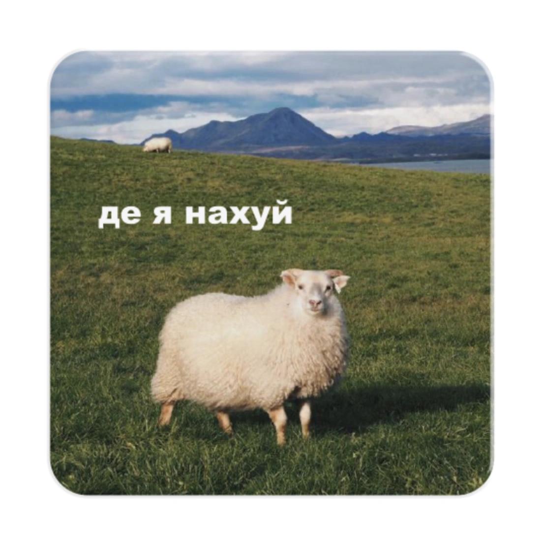 3D стікер «Де я?»