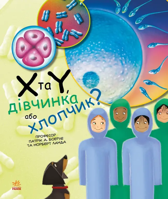 X та Y, дівчинка або хлопчик?