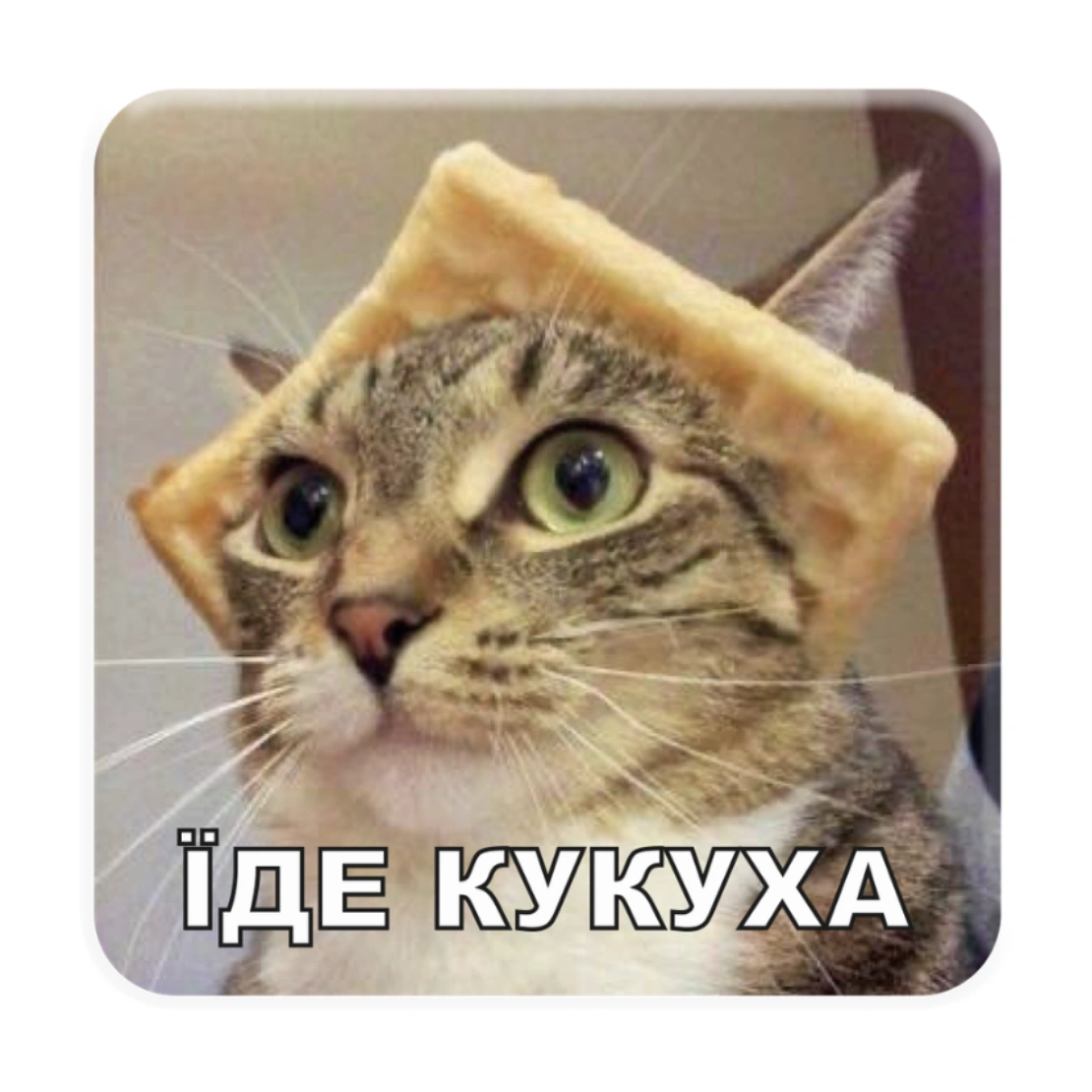 3D стікер «Їде кукуха»