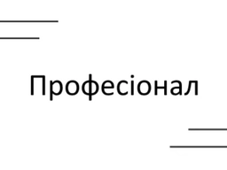 Професіонал