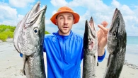 24 Часа в Поисках Еды в Океане: Акулы и Подводная Охота