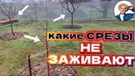 Серія 367