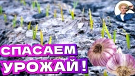 Серія 366