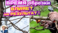 Серія 365
