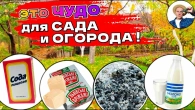 Серія 353