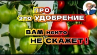 Калий-Кальциевая подкормка томатов - Секрет Урожая и Здоровья как в Теплице!