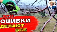 Обрезка Деревьев без Ошибок для Сада Любителей