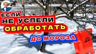 МОРОЗ УДАРИЛ а Обработать Сад Не Успели - Как Сделать Искореняющую Обработку Зимой?!