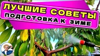 ОСЕННИЕ ОБРАБОТКИ деревьев и грядок: лучшие видео про секреты подготовки к зиме