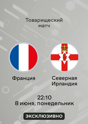 Франция — Северная Ирландия