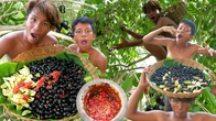 Survival in the rainforest, java plum fruits delicious eatings!