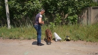 Серія 6