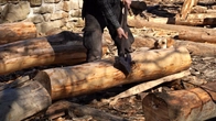 Building a Bushcraft Log Cabin with a Handcrafted Crane | Part 3