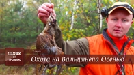 "The Woodcock - The Most Poetic Trophy"