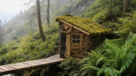 He Spent 15 Days Building a Bushcraft Cabin Alone in the Forest