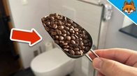 All my Neighbors put Coffee in the Bathroom(The reason is AWESOME)